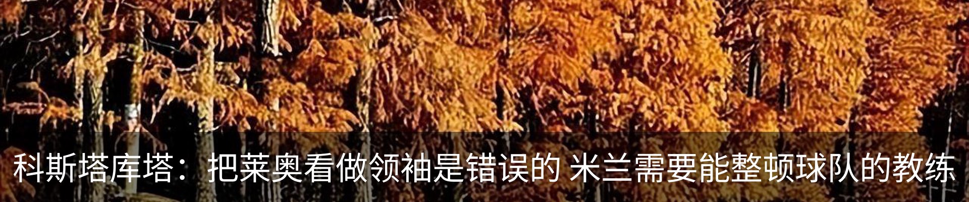 新闻动态